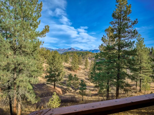 Breckenridge Home 1017861