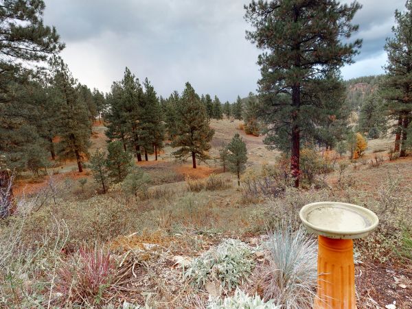 Breckenridge Home 1017861