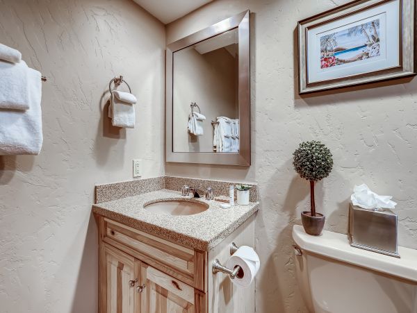 Breckenridge Home 1017869