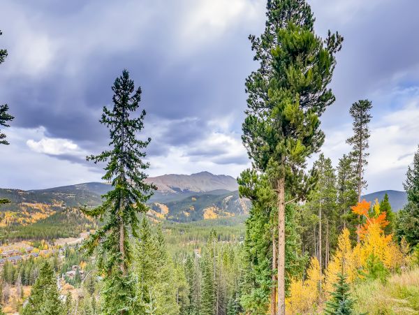 Breckenridge Home 1017869
