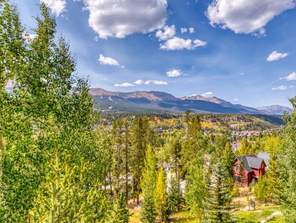 Breckenridge Home 1017882