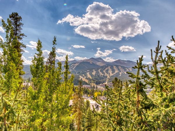 Breckenridge Home 1017882