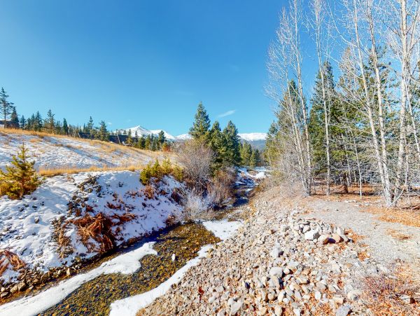 Breckenridge Home 1017888