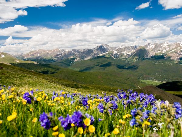 Breckenridge Home 1017891