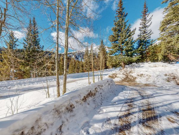 Breckenridge Home 1017899