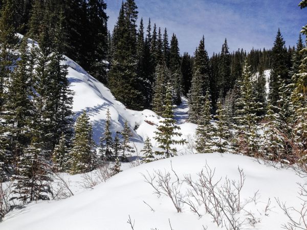 Breckenridge Home 1017899
