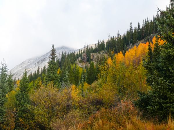 Breckenridge Home 1017899
