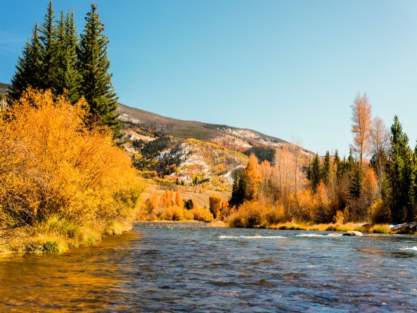 Breckenridge Home 1017907