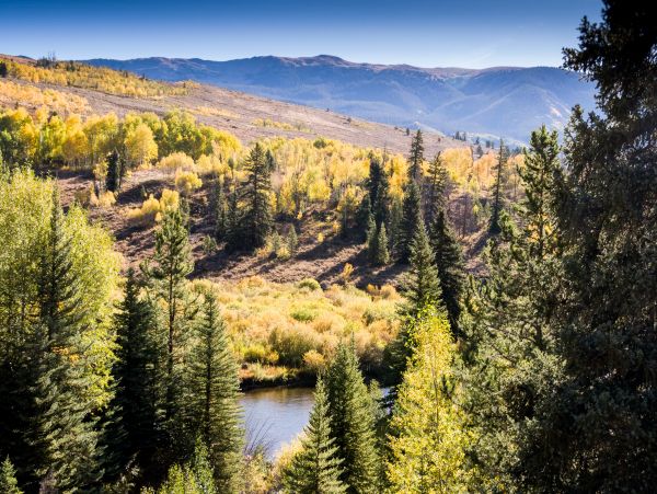 Breckenridge Home 1017907