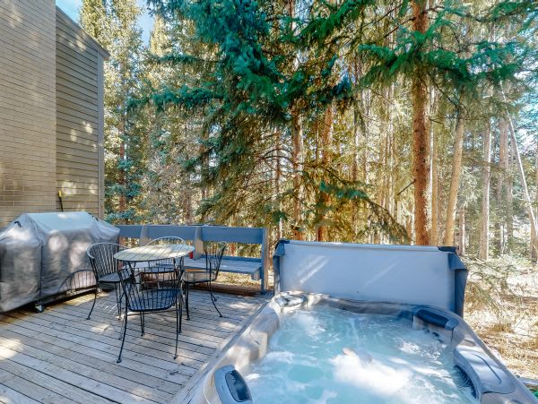 Breckenridge Home 1017908