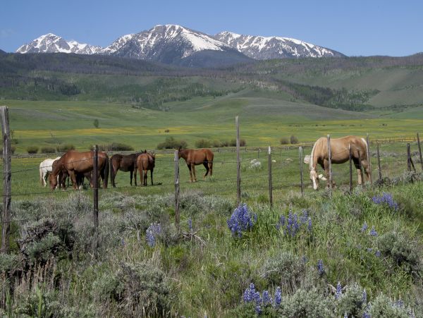 Breckenridge Home 1017909