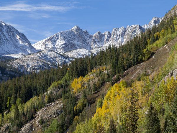 Breckenridge Home 1017909