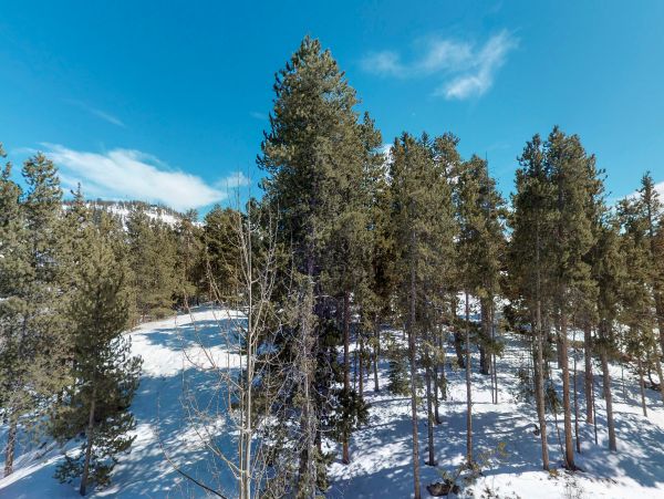 Breckenridge Home 1017912