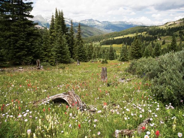 Breckenridge Home 1017914