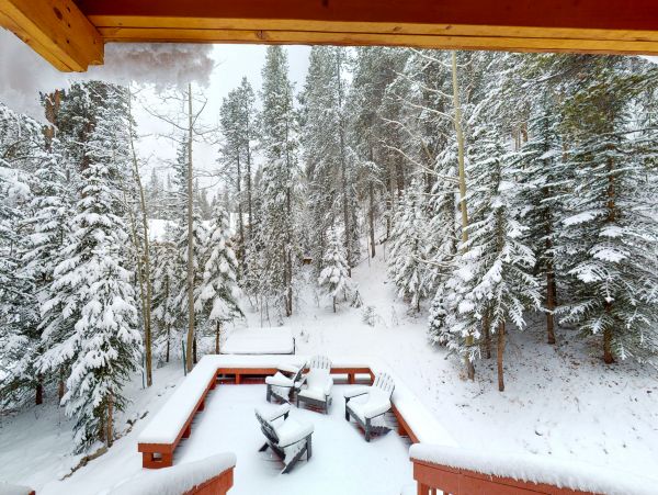 Breckenridge Home 1017918