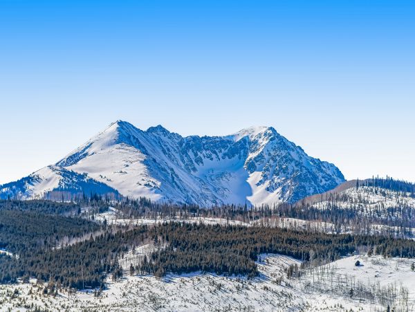 Breckenridge Home 1017919