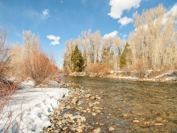Breckenridge Home 1017922