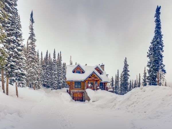 Breckenridge Home 1017927