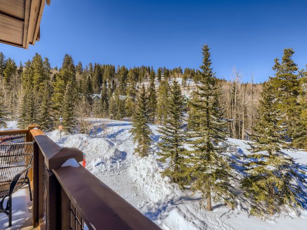 Breckenridge Home 1017943