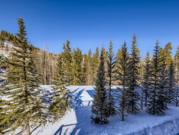 Breckenridge Home 1017943
