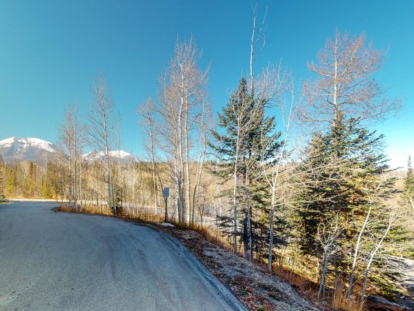 Breckenridge Home 1017945