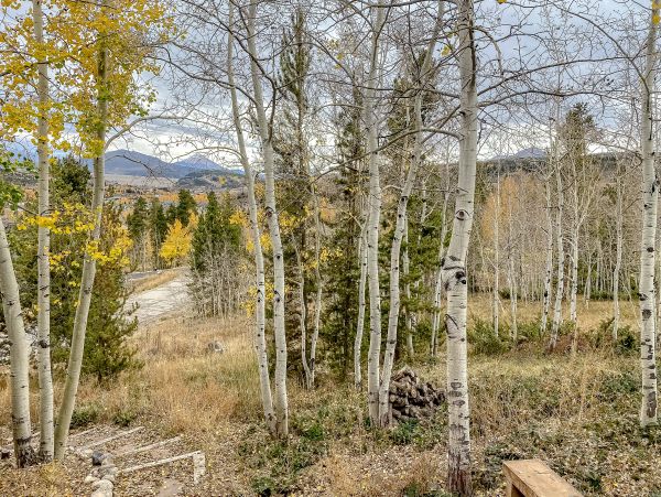 Breckenridge Home 1017946