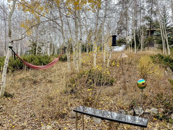 Breckenridge Home 1017946