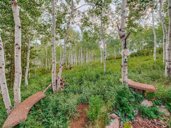 Breckenridge Home 1017946