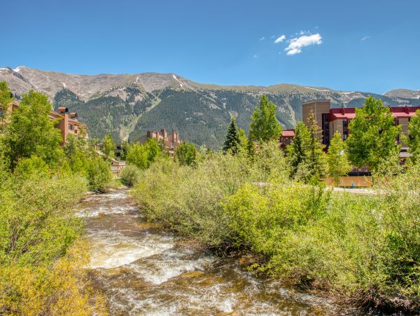 Breckenridge Home 1017959