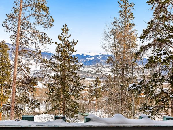 Breckenridge Home 1017962