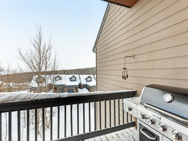 Breckenridge Home 1017968