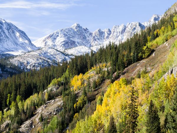Breckenridge Home 1017986