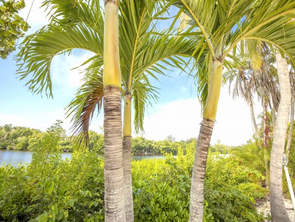 Siesta Key Vacation Bungalow One Bedroom