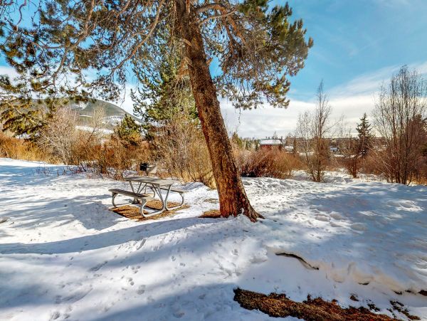 Breckenridge Home 1018002