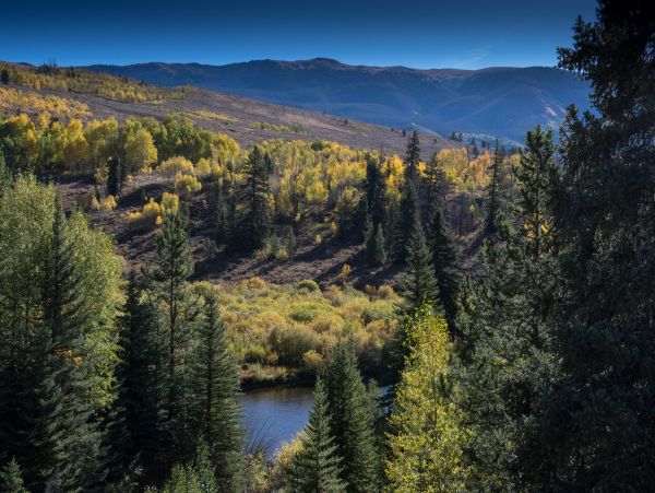Breckenridge Home 1018007
