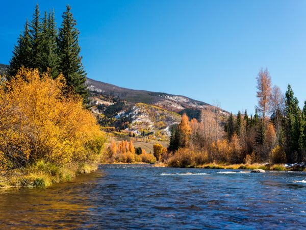 Breckenridge Home 1018007