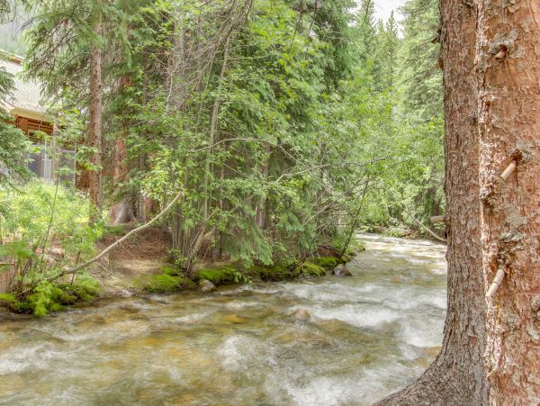 Breckenridge Home 1018010