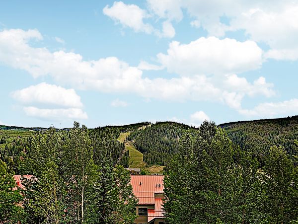 Breckenridge Home 1018011
