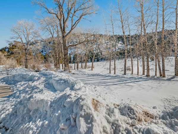 Breckenridge Home 1018041