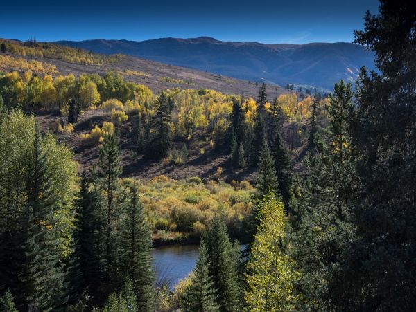 Breckenridge Home 1018044