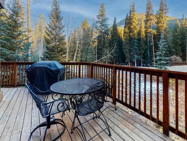Breckenridge Home 1018049