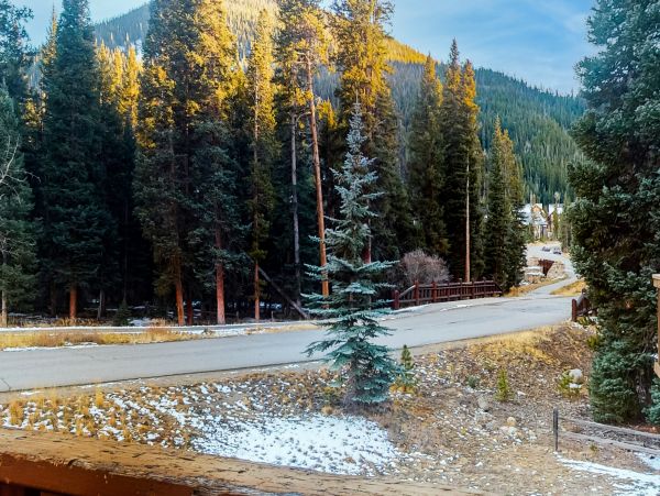 Breckenridge Home 1018049