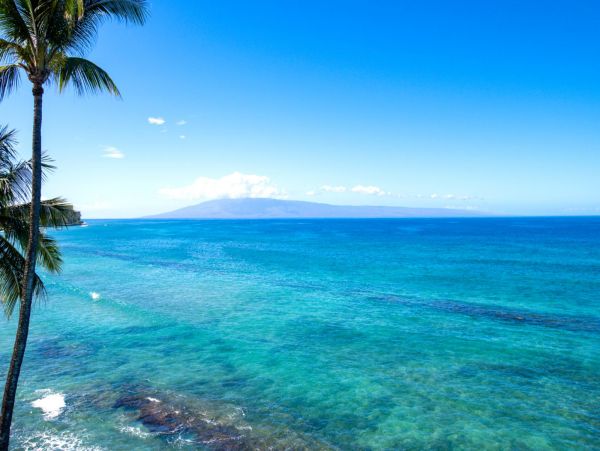 Beautiful Vacation Beach Condo Rental in Lahaina Sleeps 4