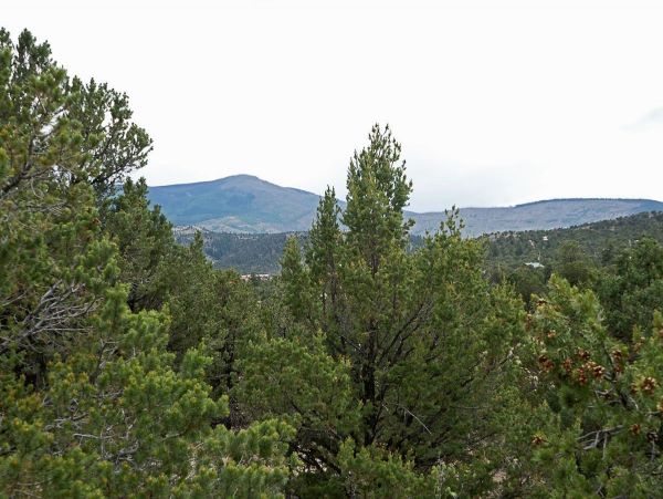 Breckenridge Home 1018053