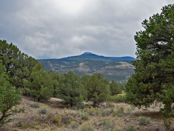 Breckenridge Home 1018053