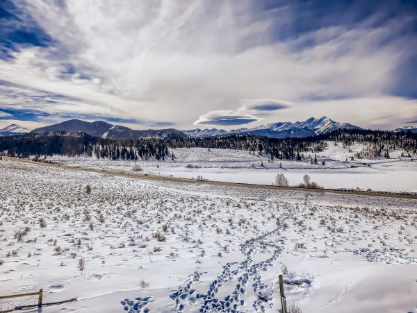 Breckenridge Home 1018056