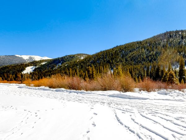 Breckenridge Home 1018061