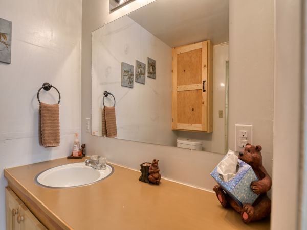 Breckenridge Home 1018066