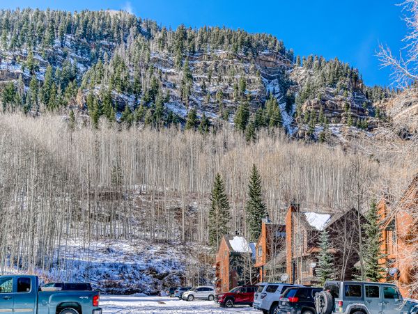 Breckenridge Home 1018074