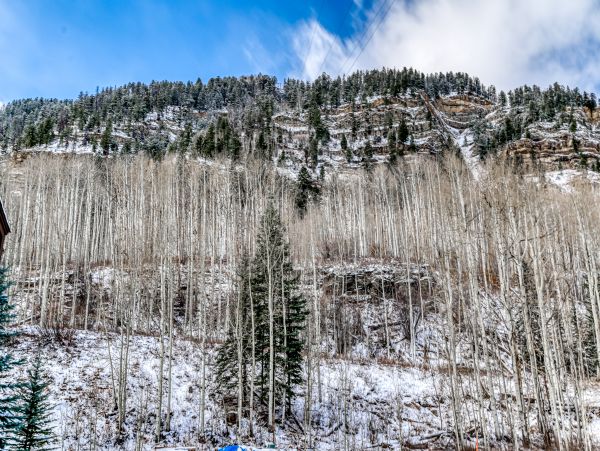 Breckenridge Home 1018074